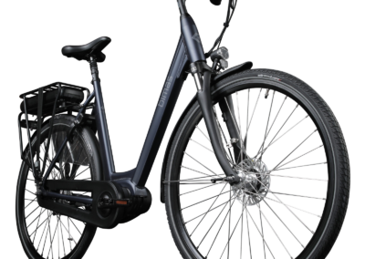 bimas e-city elektrische fiets